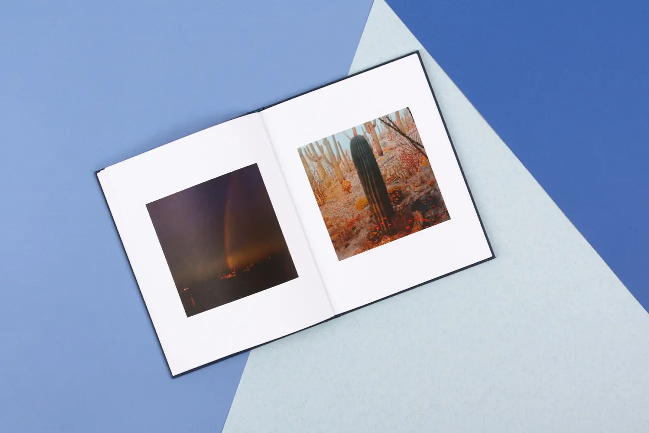 Paradise Falling image 8