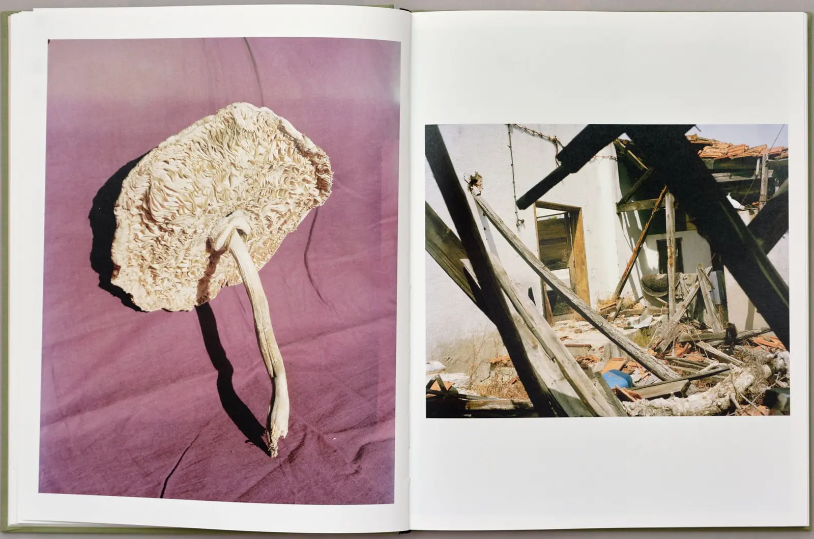 Estrela Decadente image 3