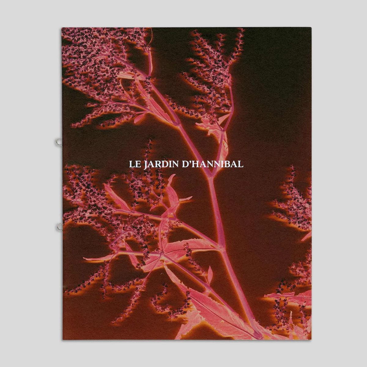 Le Jardin d’Hannibal