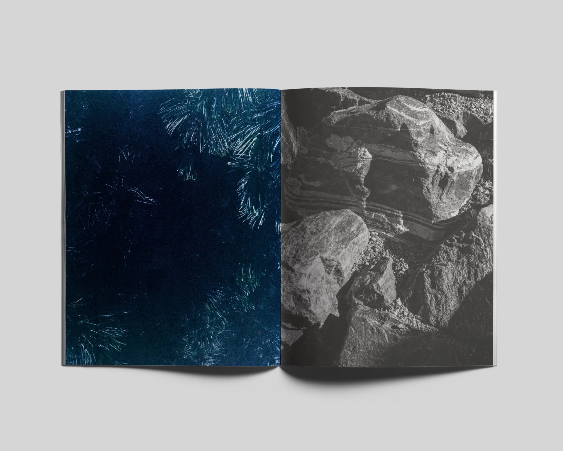 Le Jardin d’Hannibal image 3