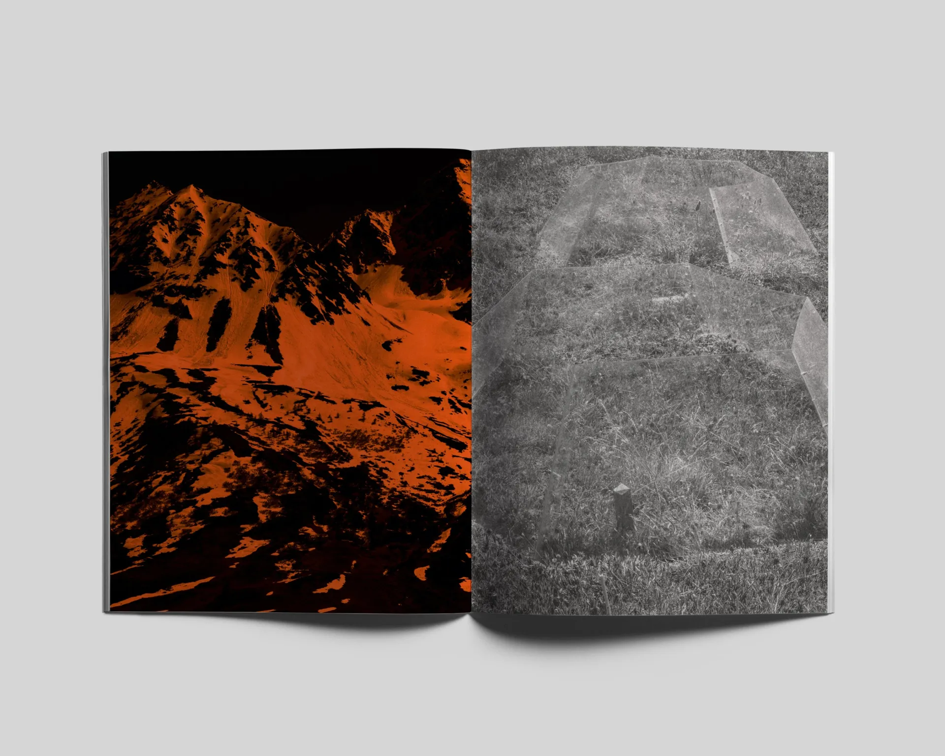 Le Jardin d’Hannibal image 4