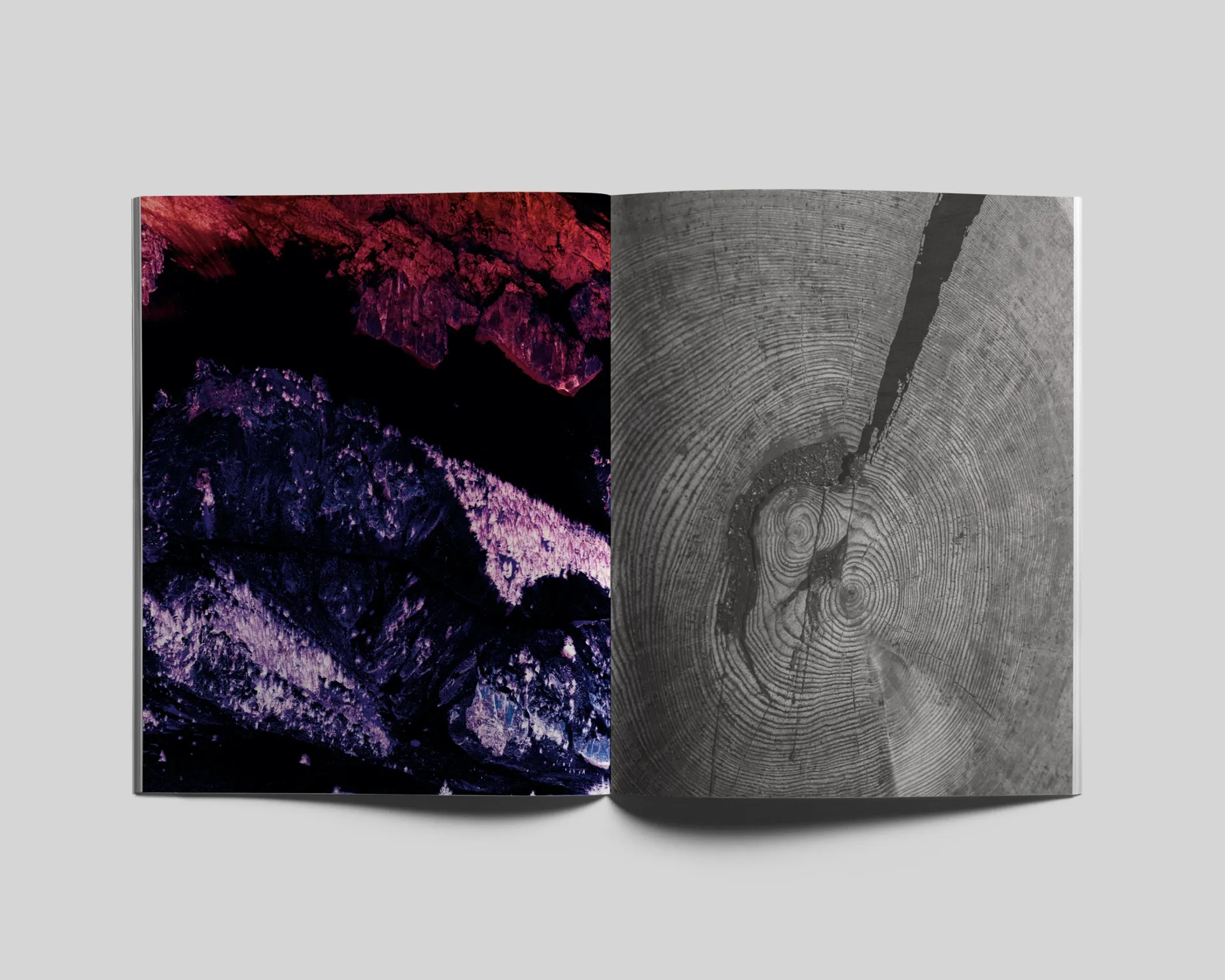 Le Jardin d’Hannibal image 5