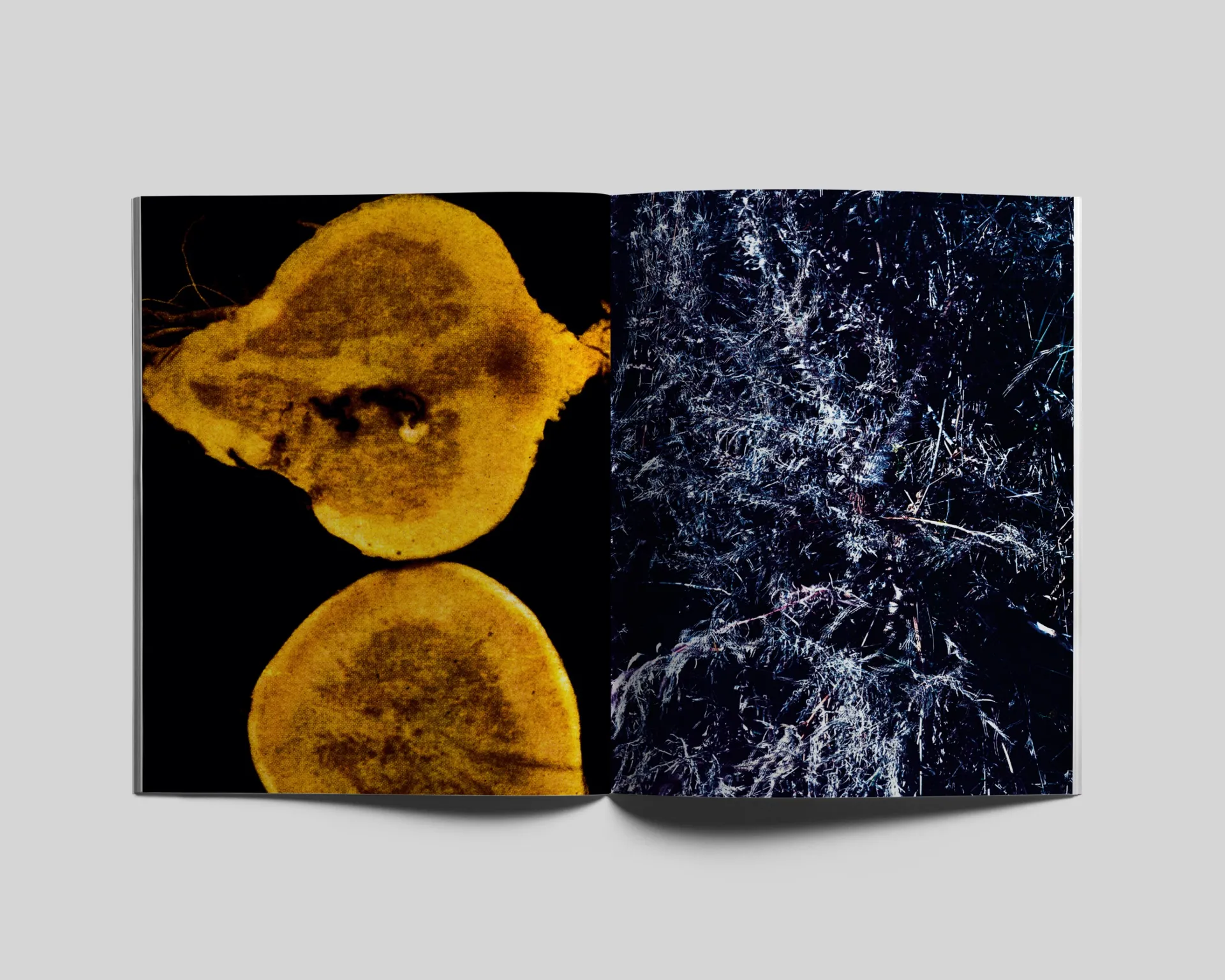 Le Jardin d’Hannibal image 6