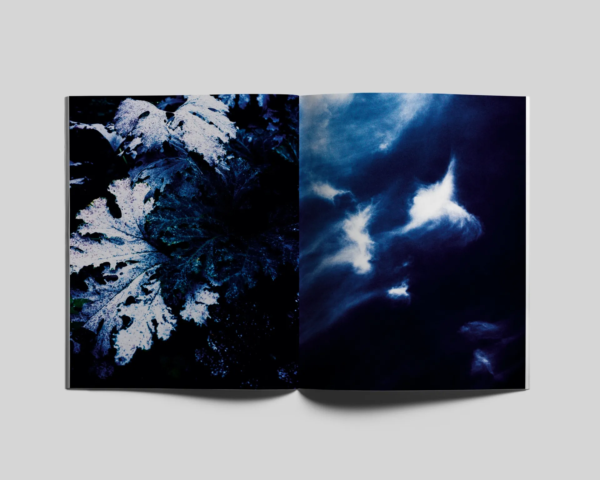 Le Jardin d’Hannibal image 7