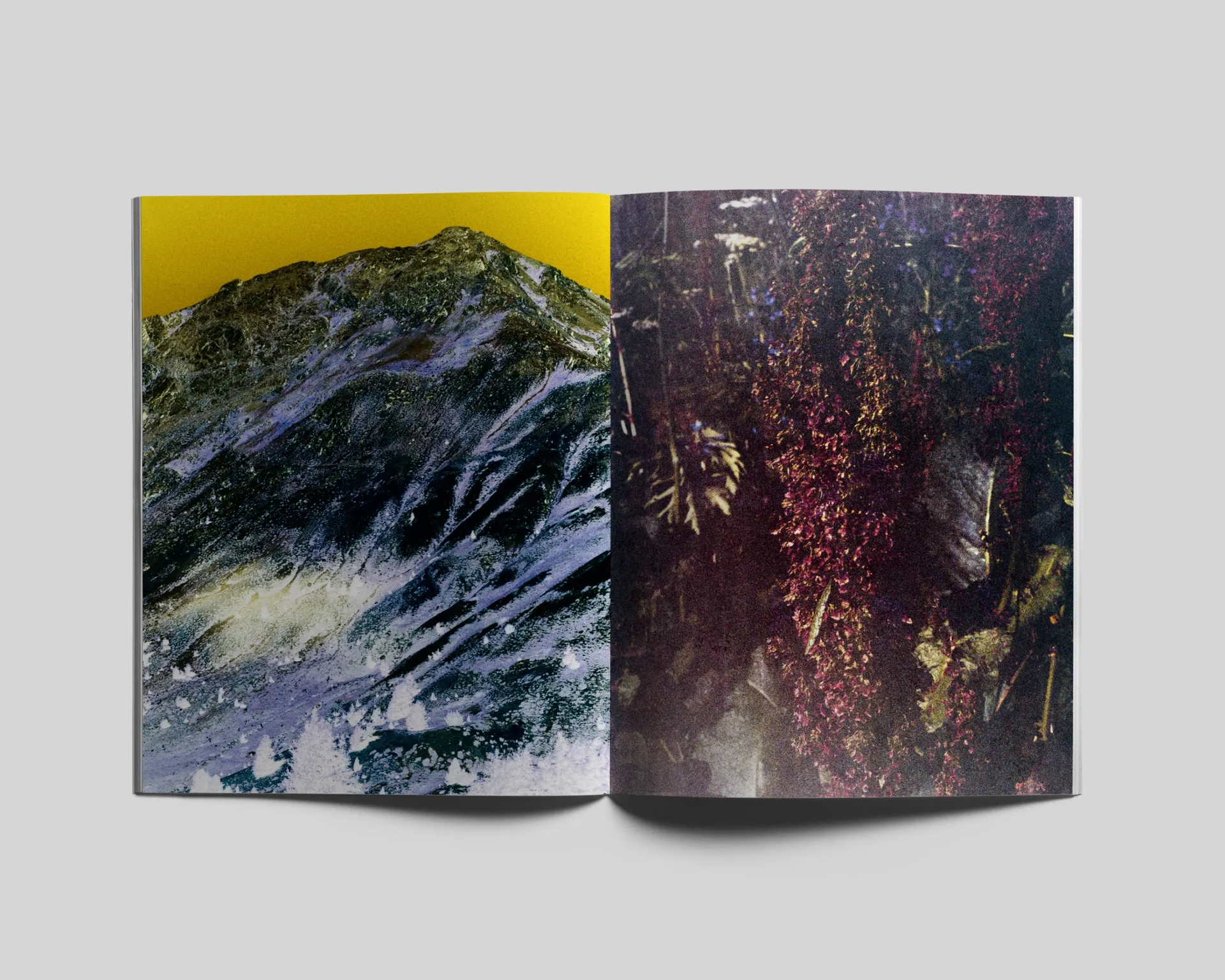 Le Jardin d’Hannibal image 9