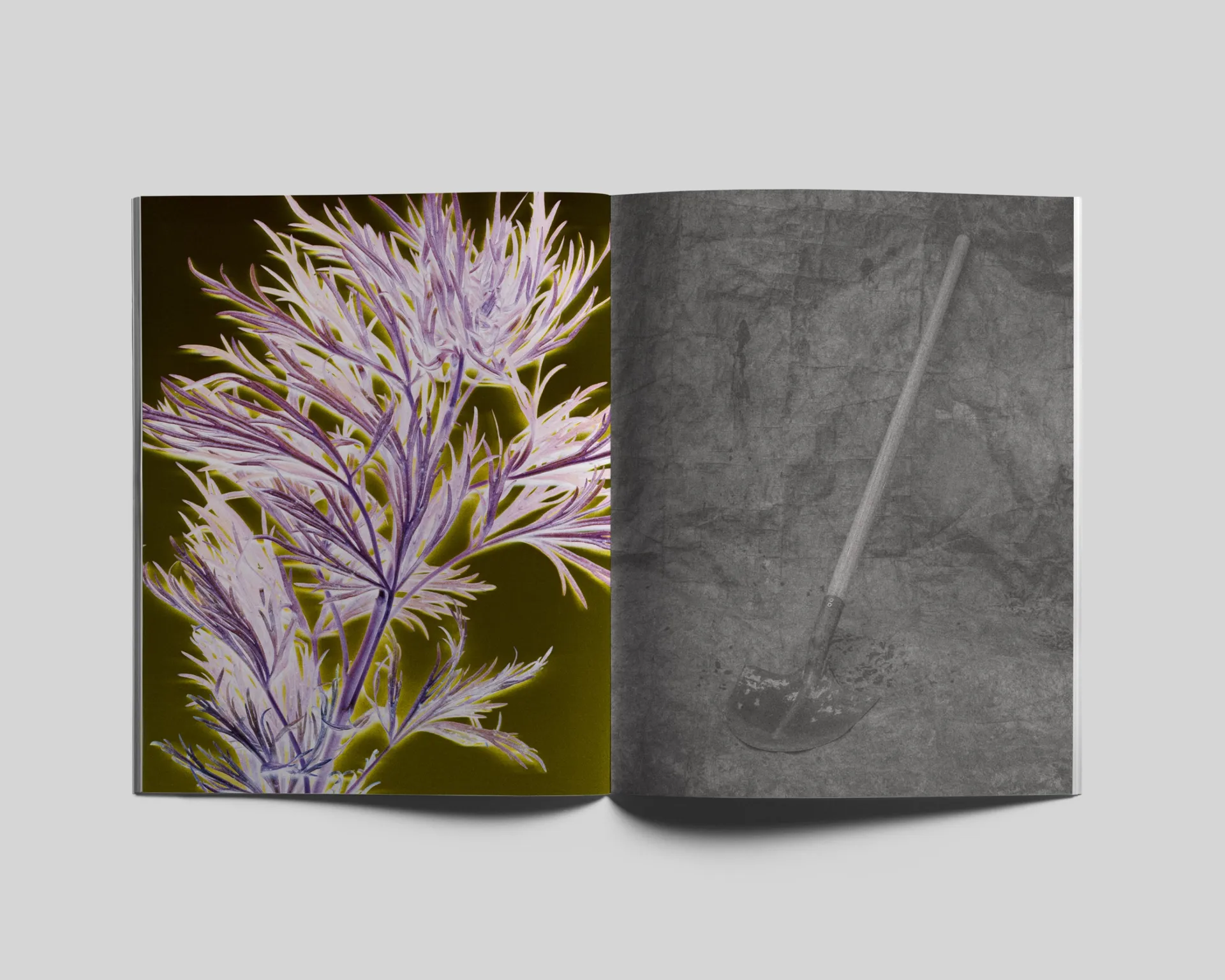 Le Jardin d’Hannibal image 10