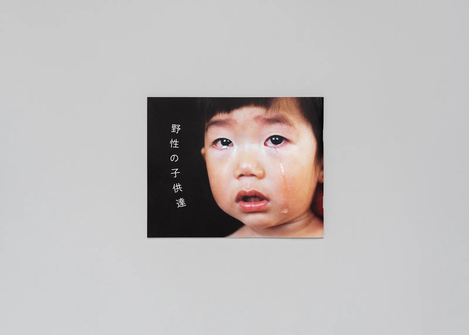 Wild Children image 2