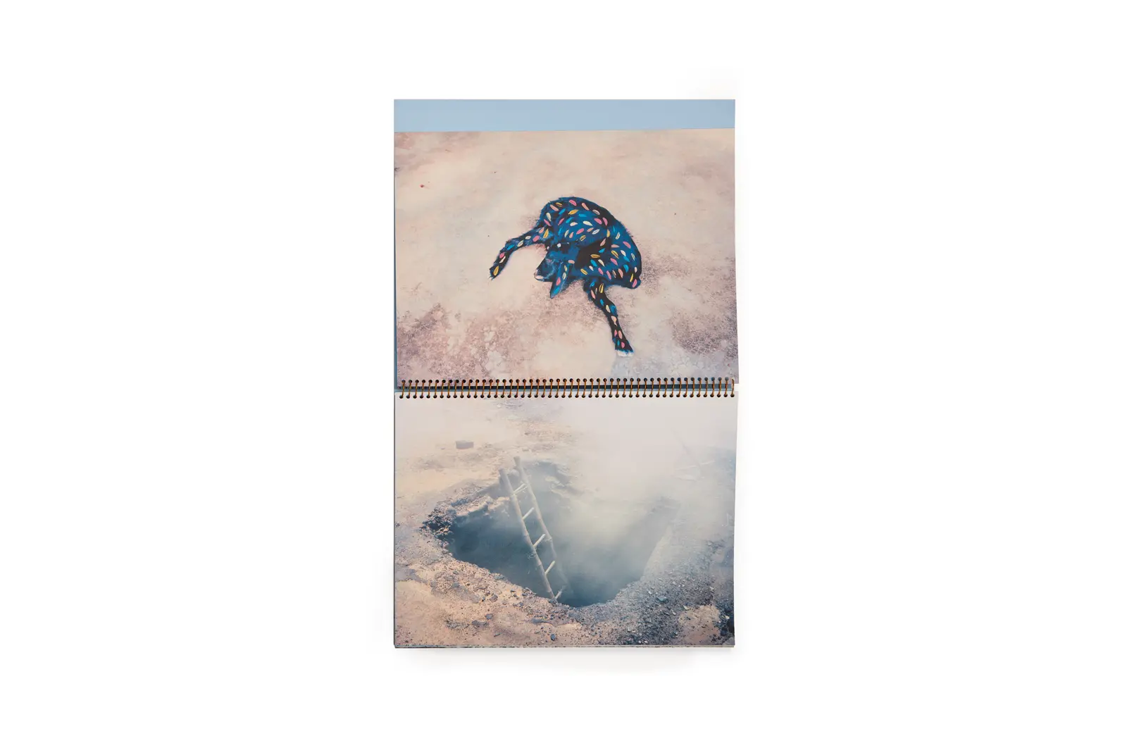 Howling Winds image 3