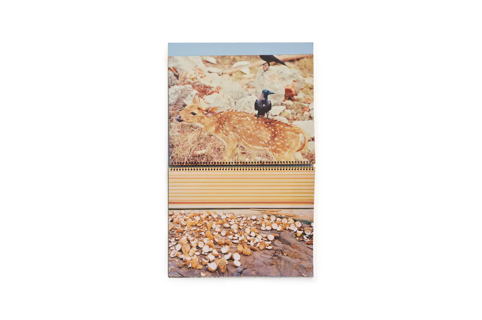 Howling Winds image 4