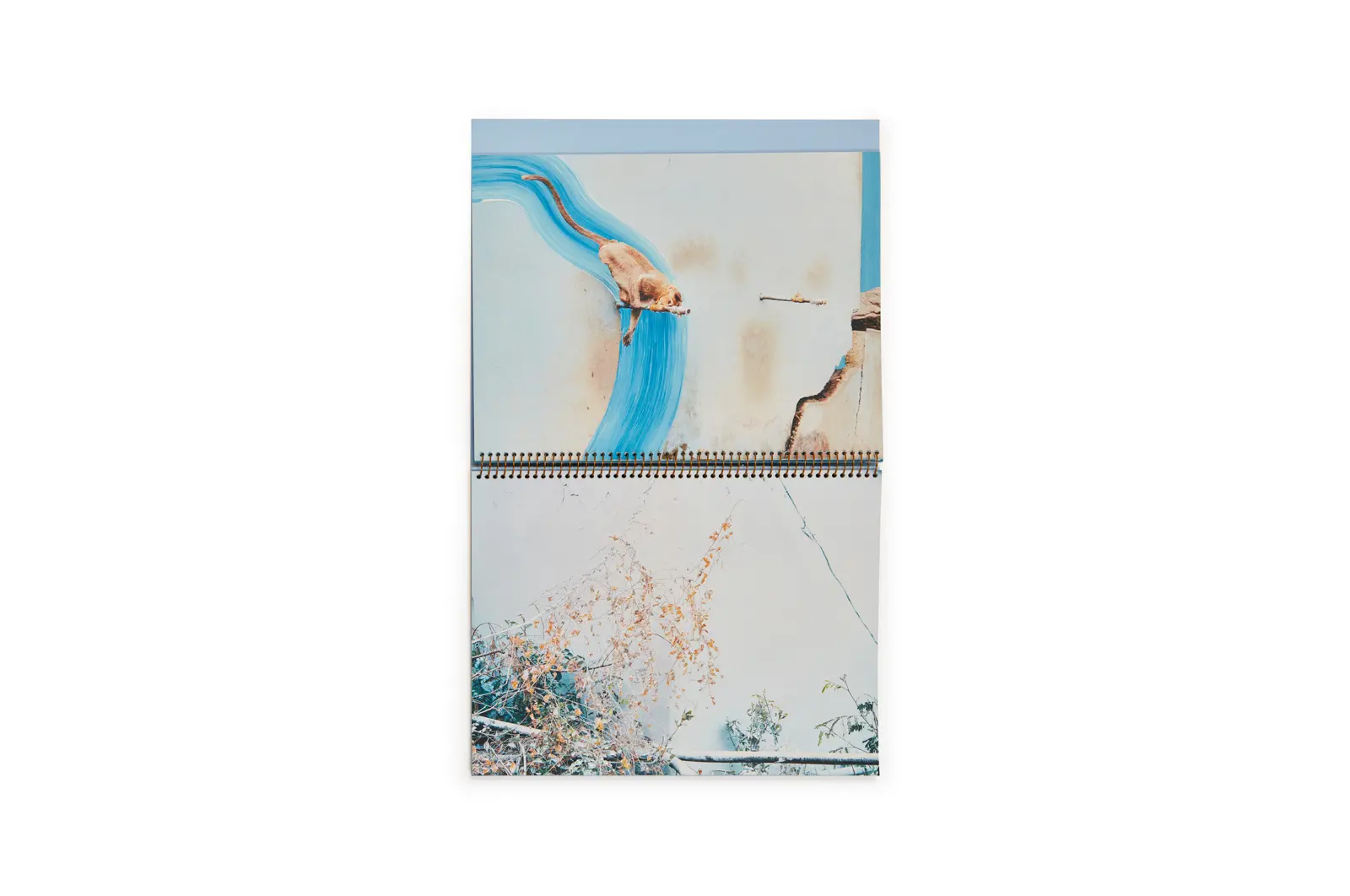 Howling Winds image 8