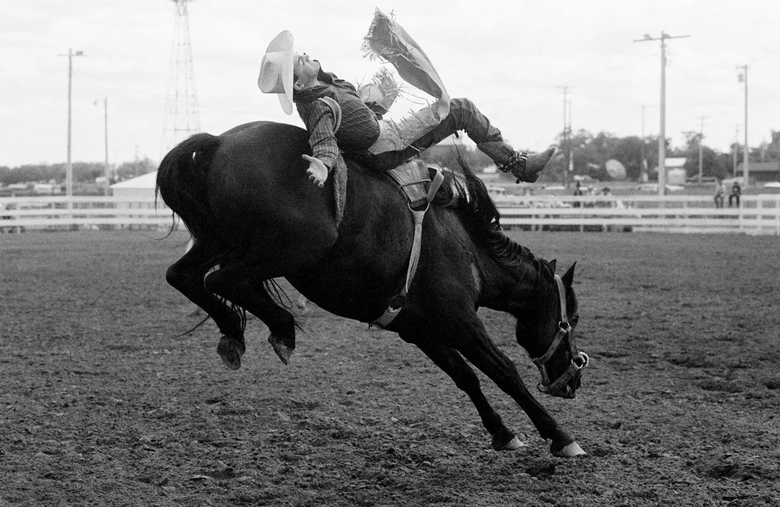 American Photographs image 7