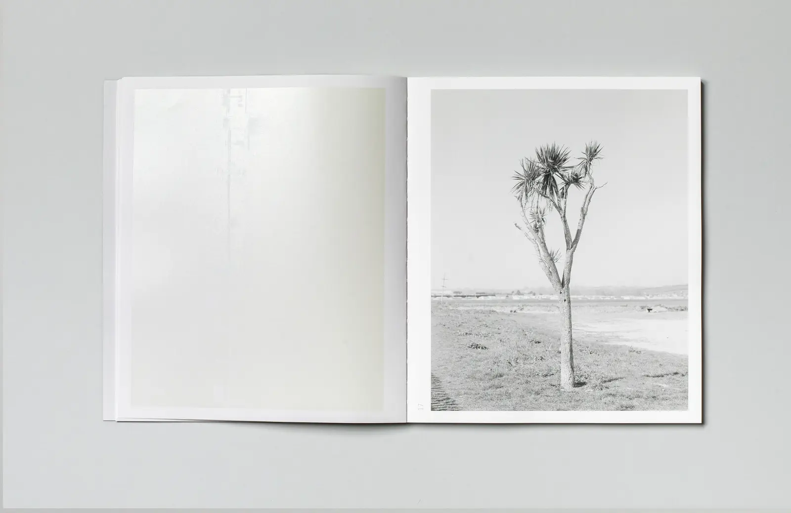 Silent Coast image 5