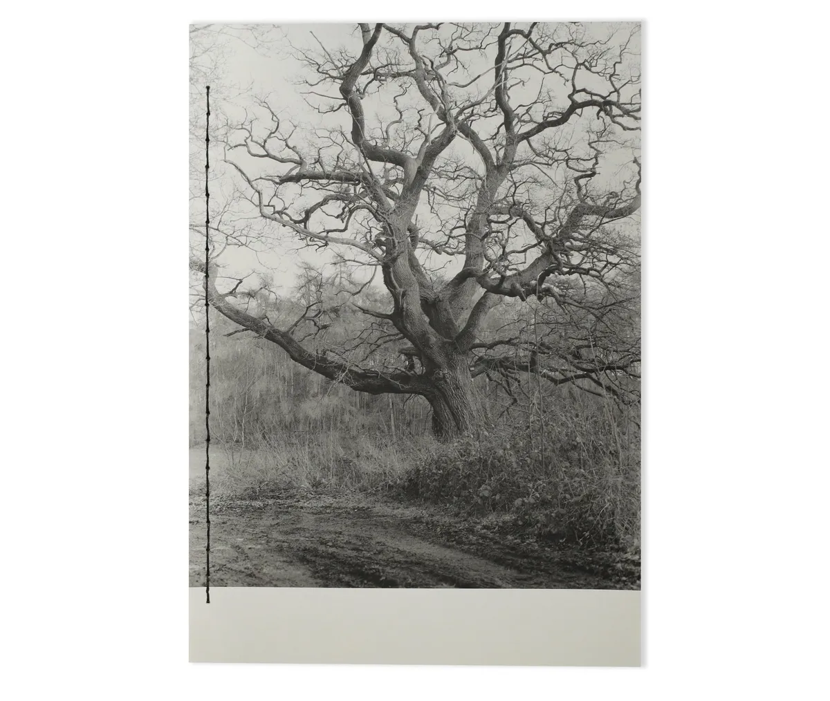 They All Happened Here