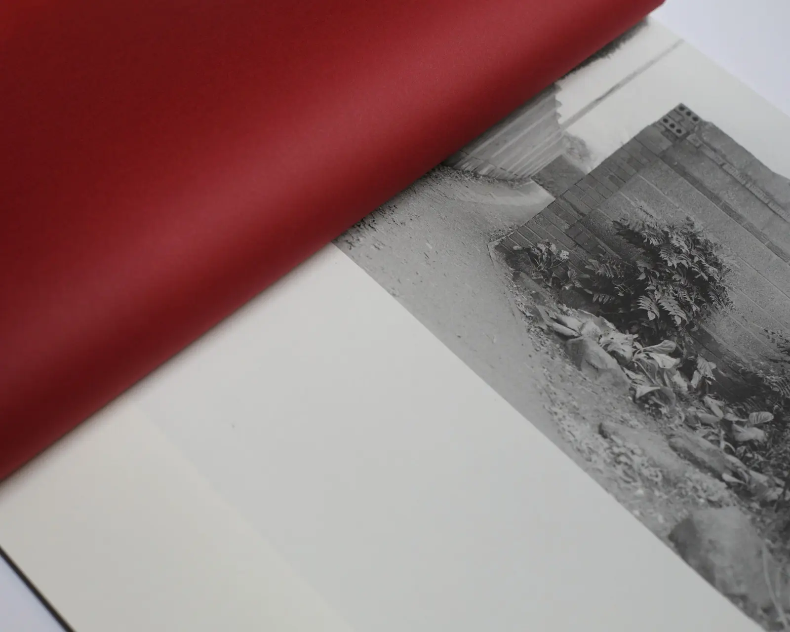 They All Happened Here image 3