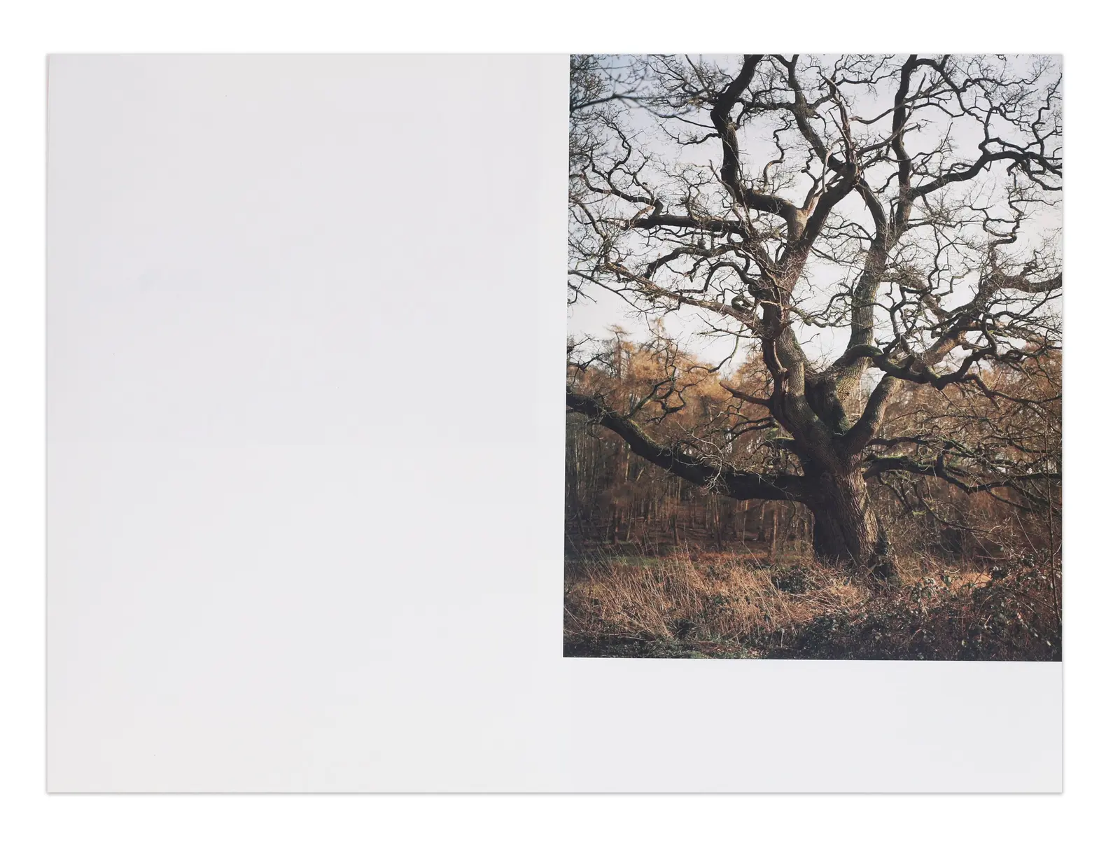 They All Happened Here image 5