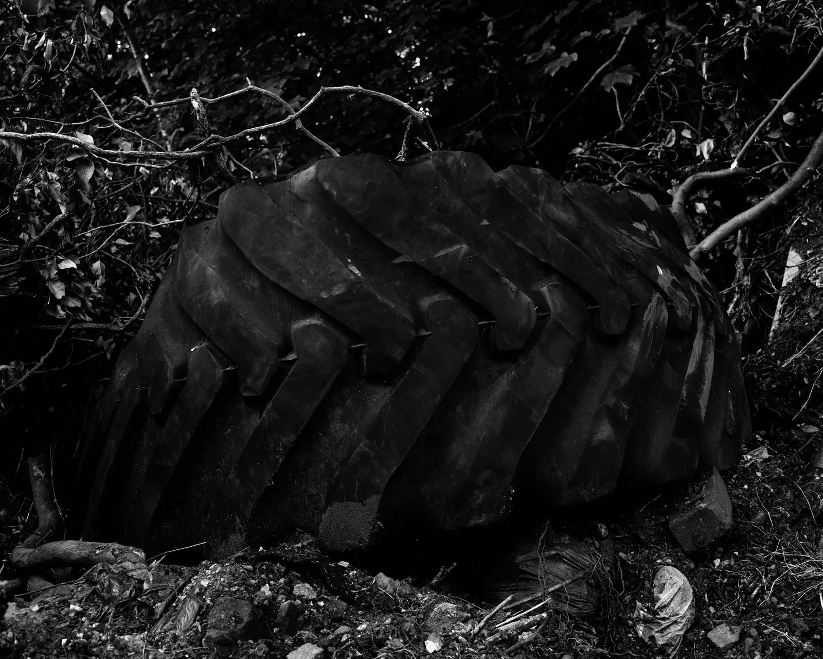 They All Happened Here image 6