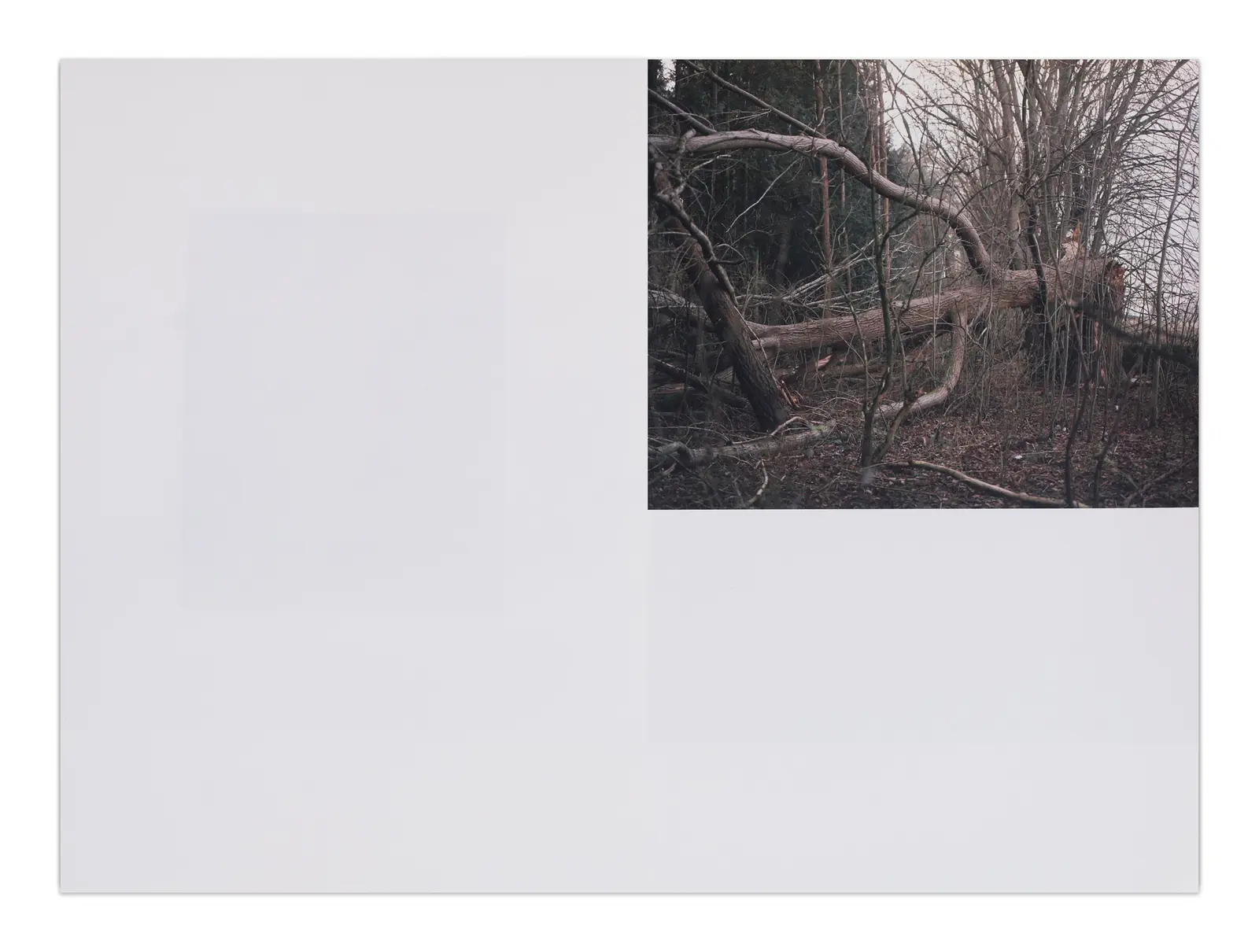 They All Happened Here image 10