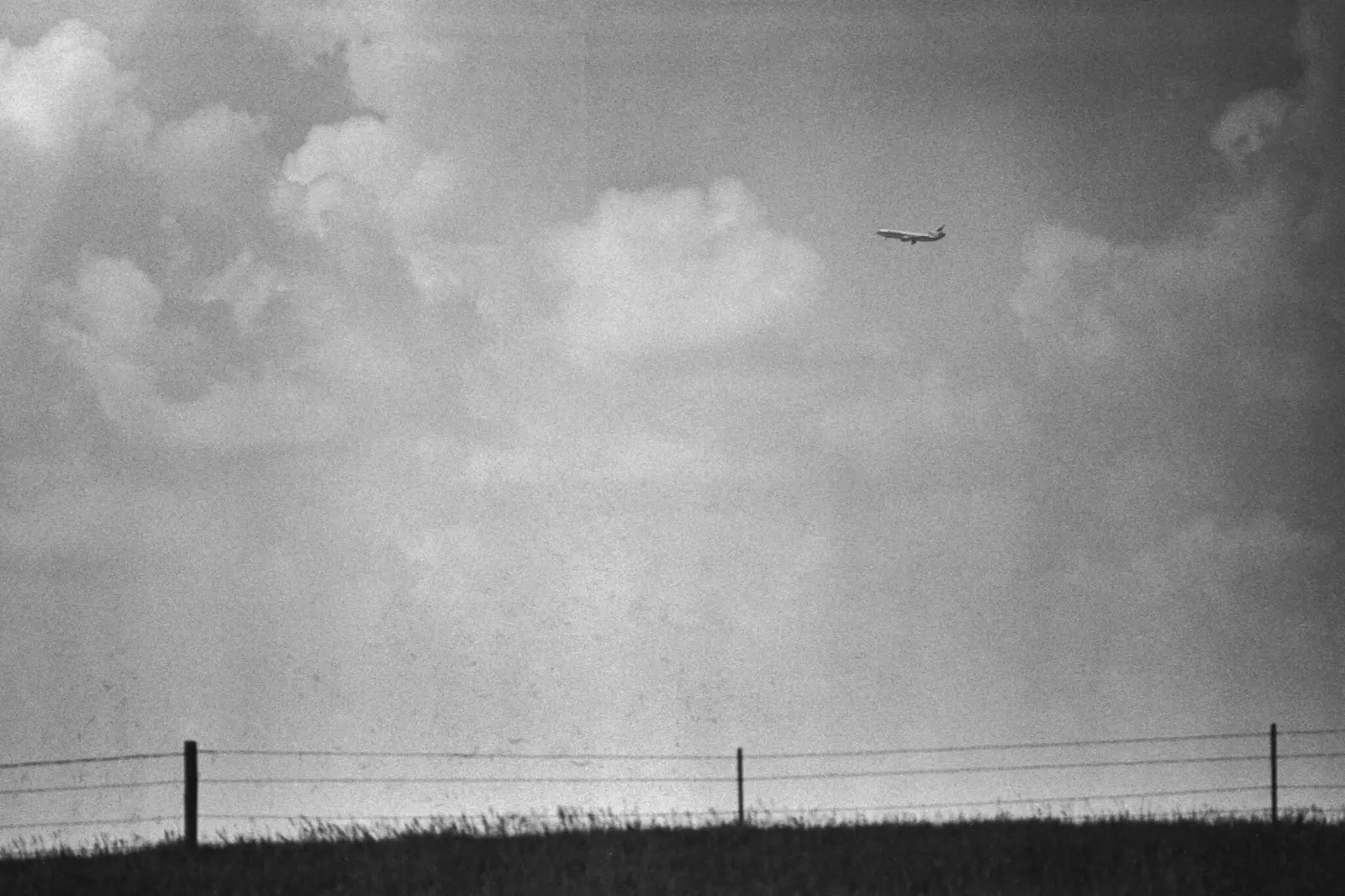 Son Pictures image 4