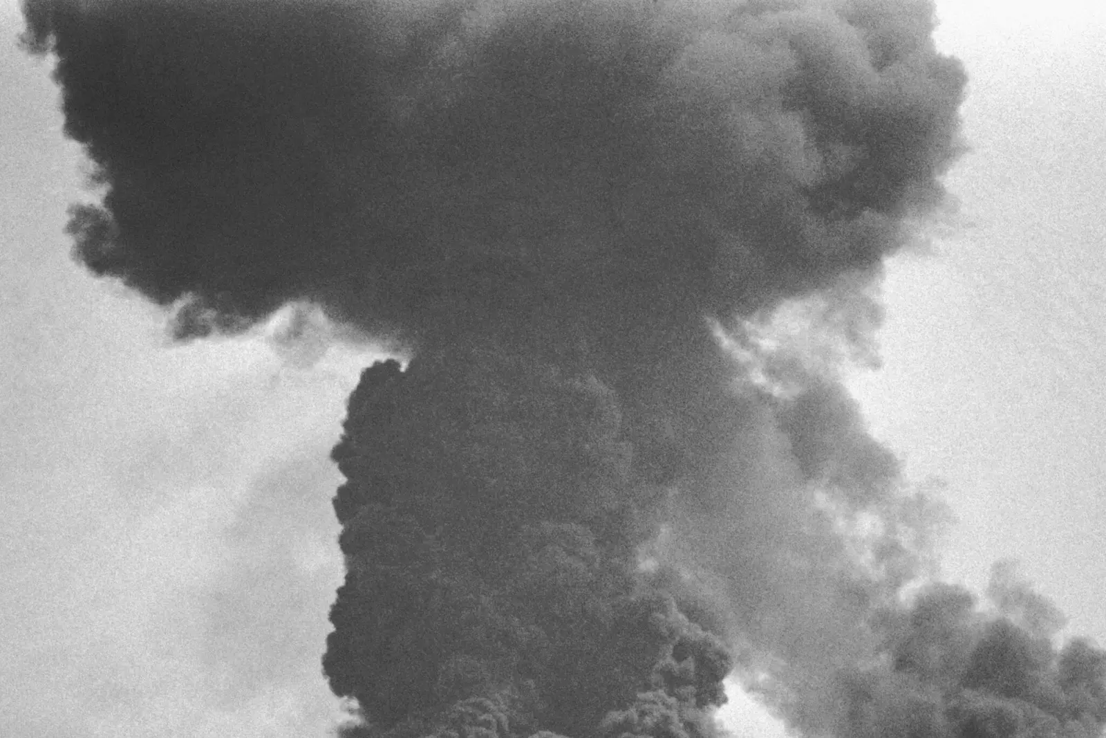 Son Pictures image 7