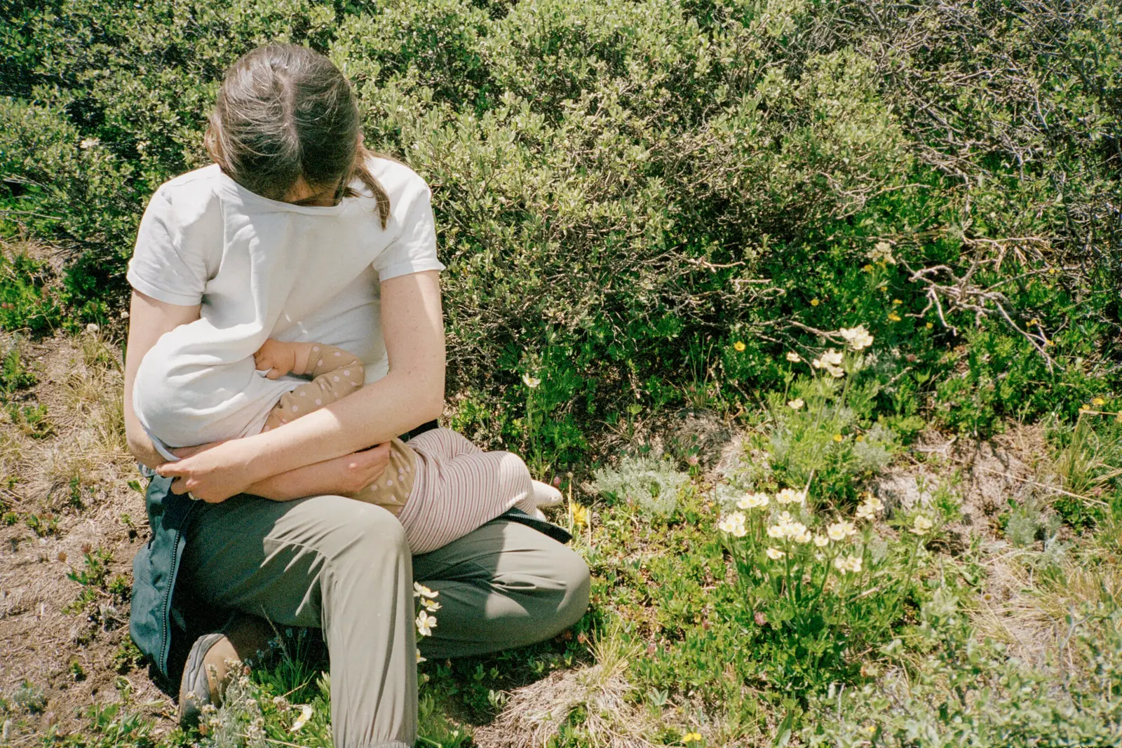 Son Pictures image 9