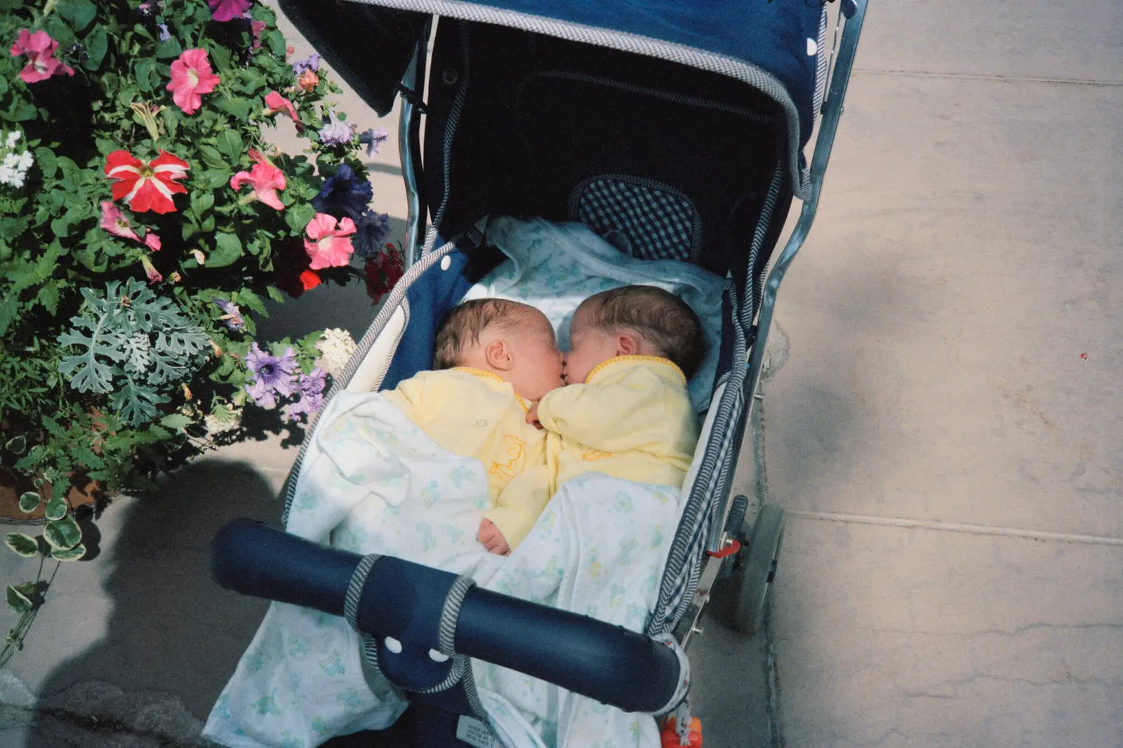 Son Pictures image 11