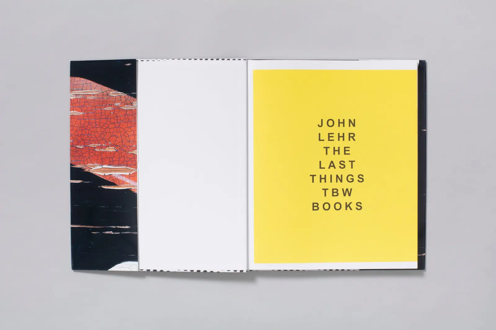 The Last Things image 3