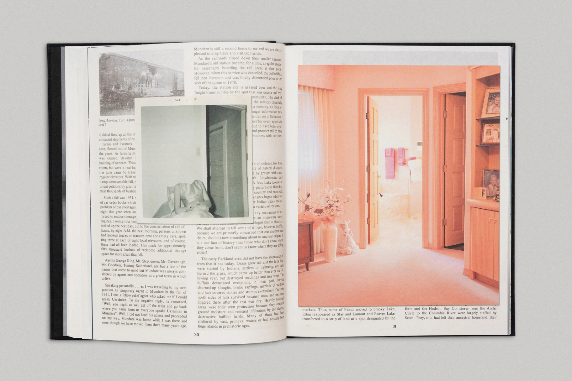 Bury Me in the Back Forty image 2