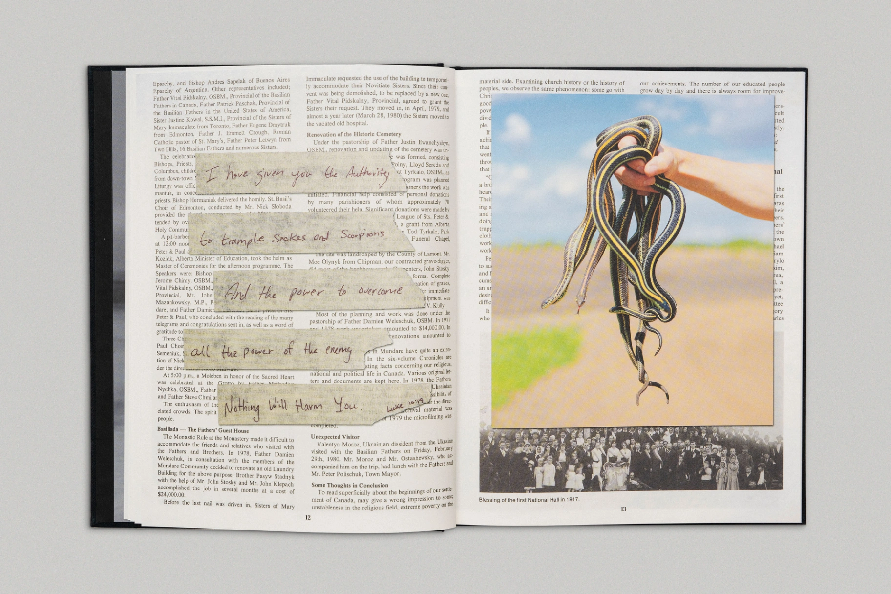 Bury Me in the Back Forty image 6