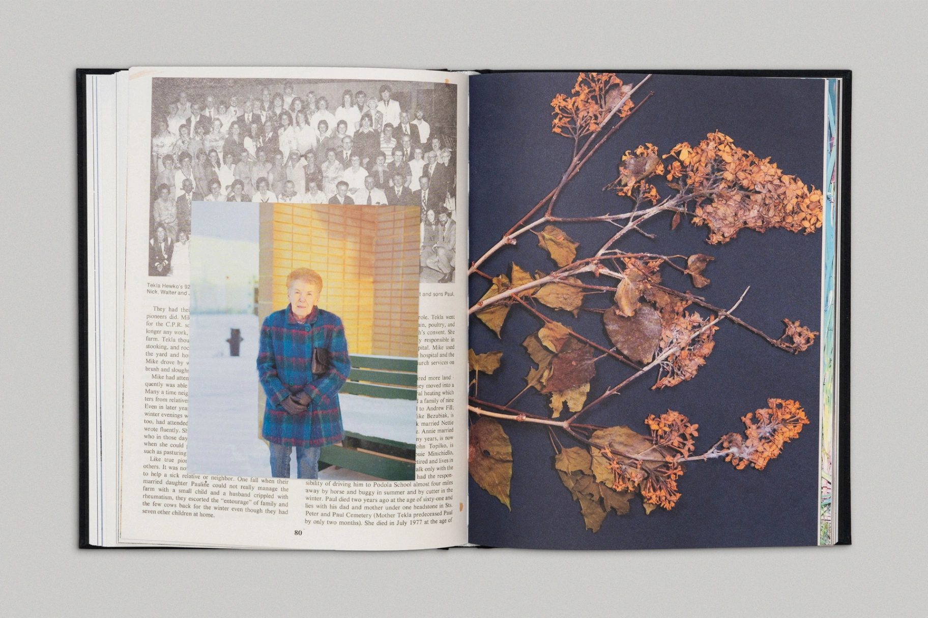 Bury Me in the Back Forty image 5