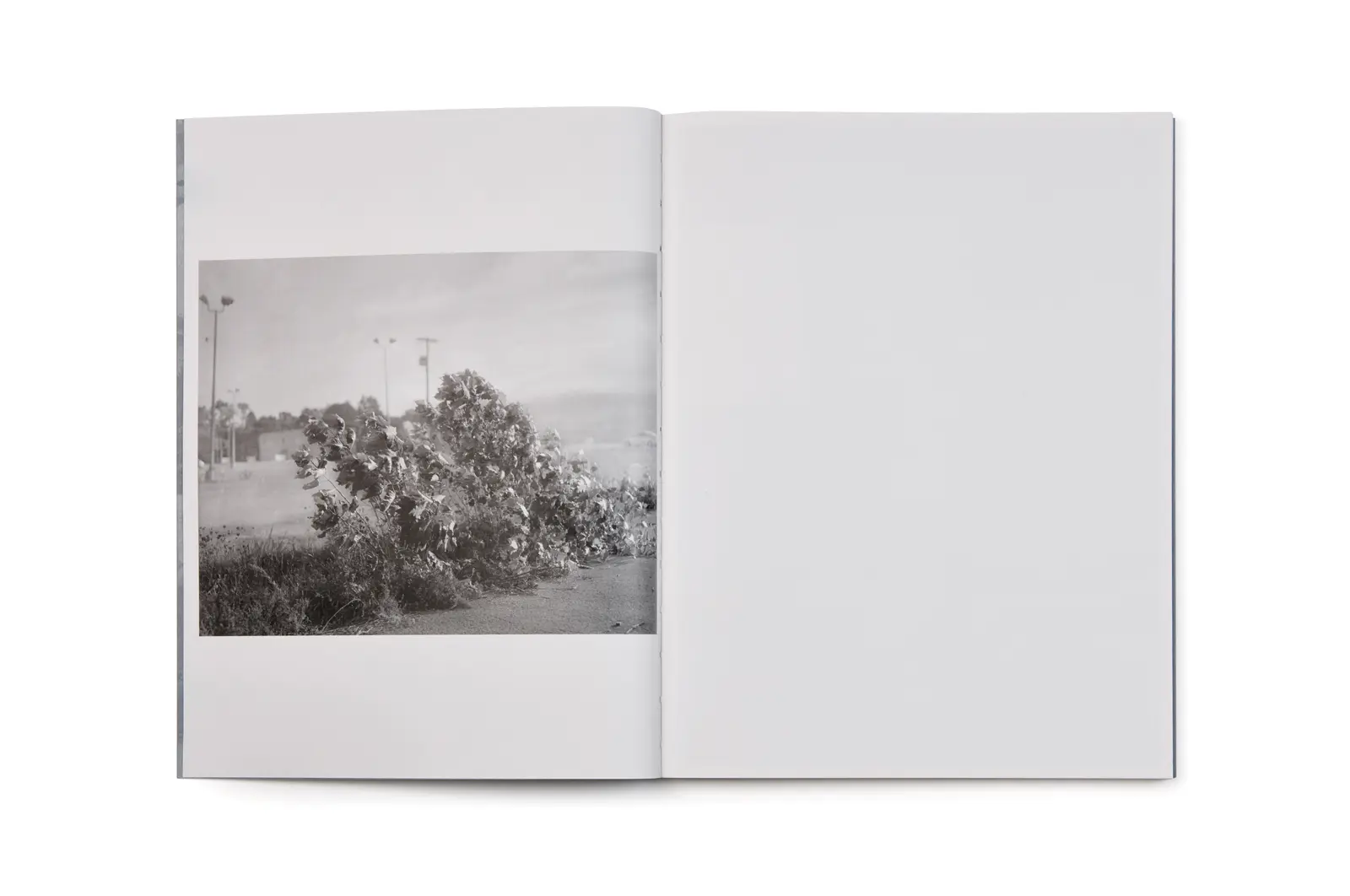 Halfstory Halflife image 2