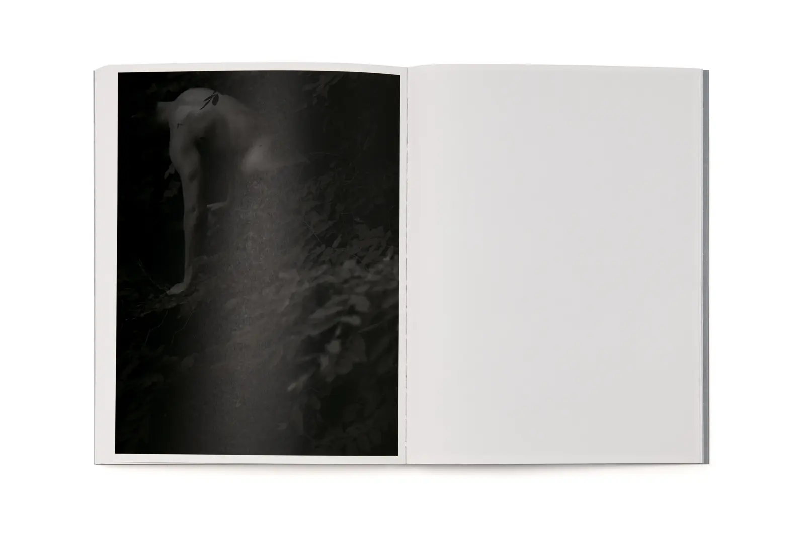 Halfstory Halflife image 11