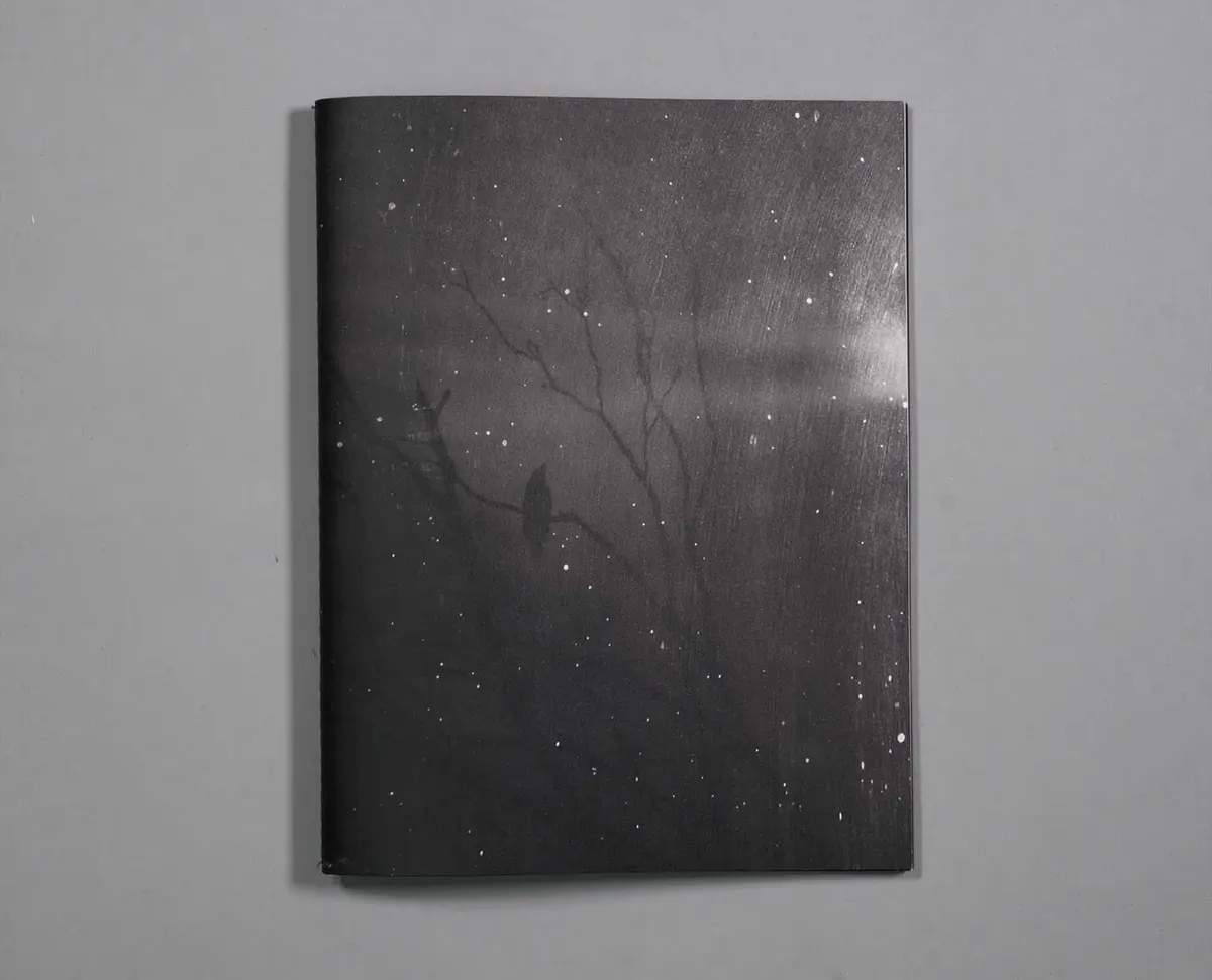 Extraordinary Experiences