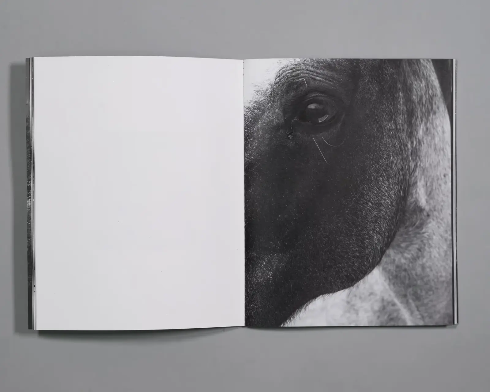 Extraordinary Experiences image 2