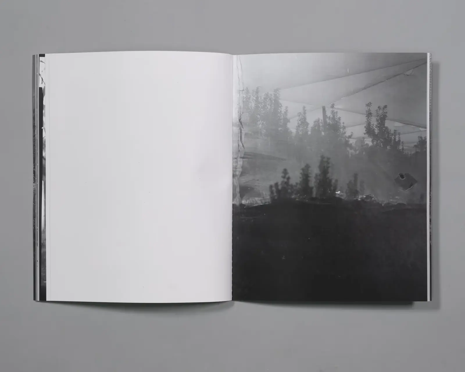 Extraordinary Experiences image 3