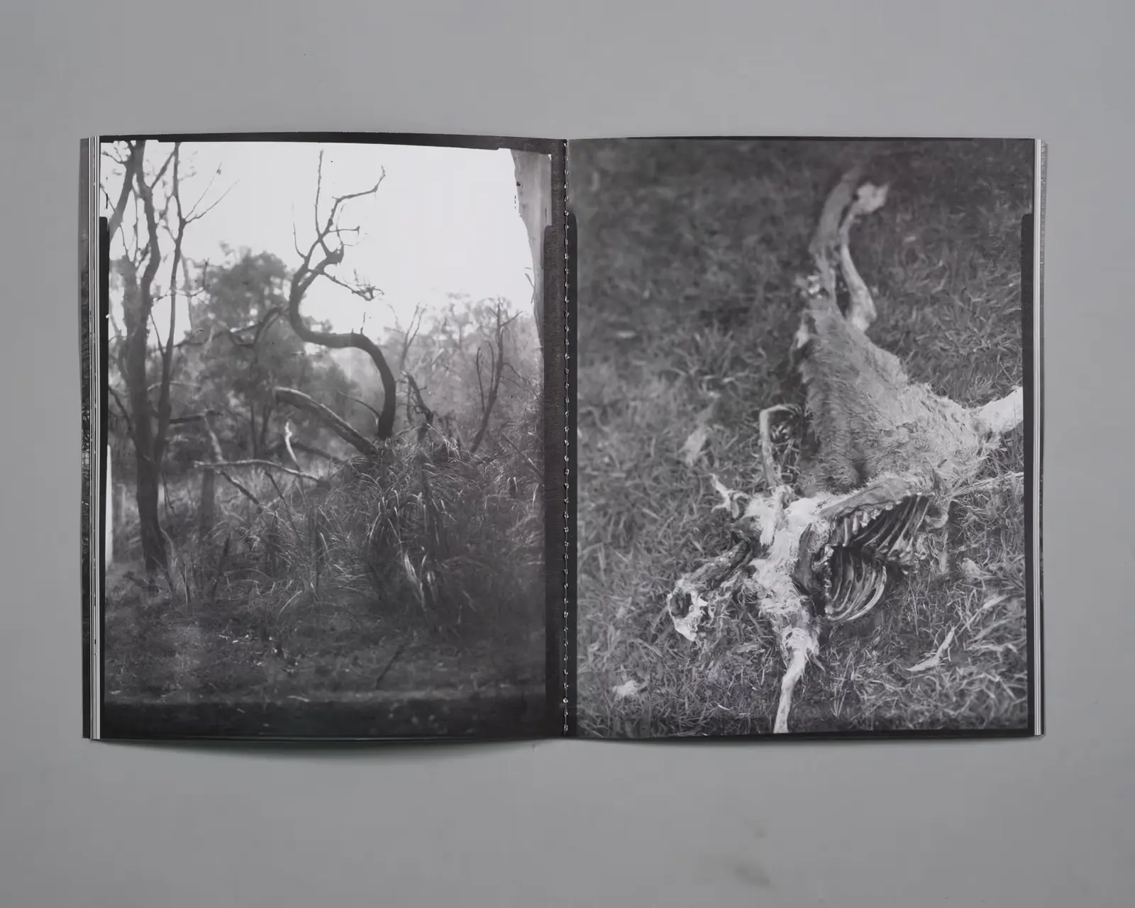 Extraordinary Experiences image 4