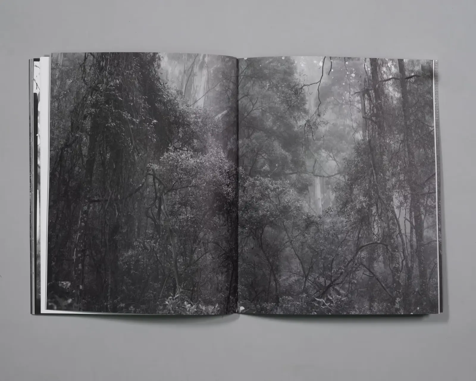 Extraordinary Experiences image 5