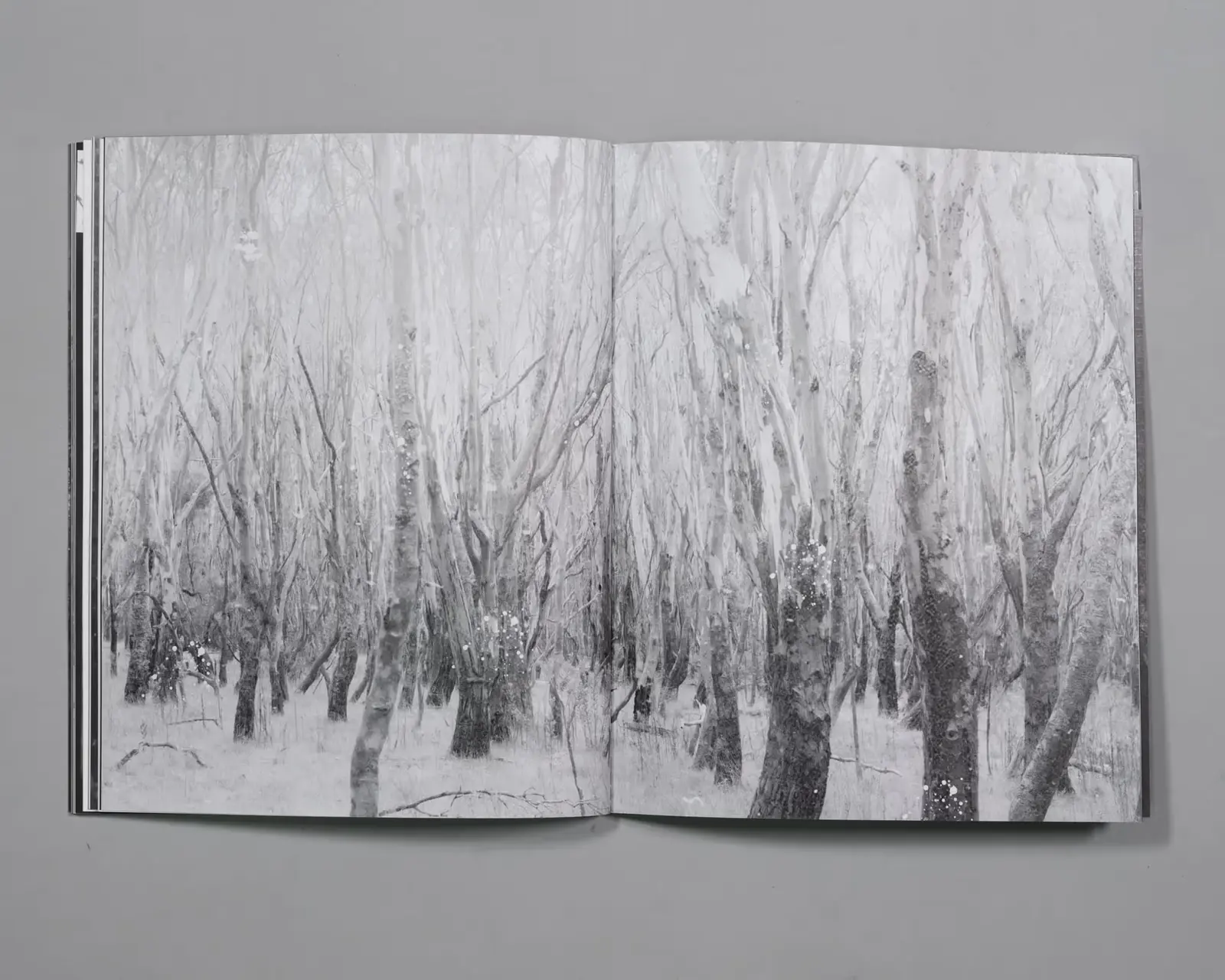 Extraordinary Experiences image 7