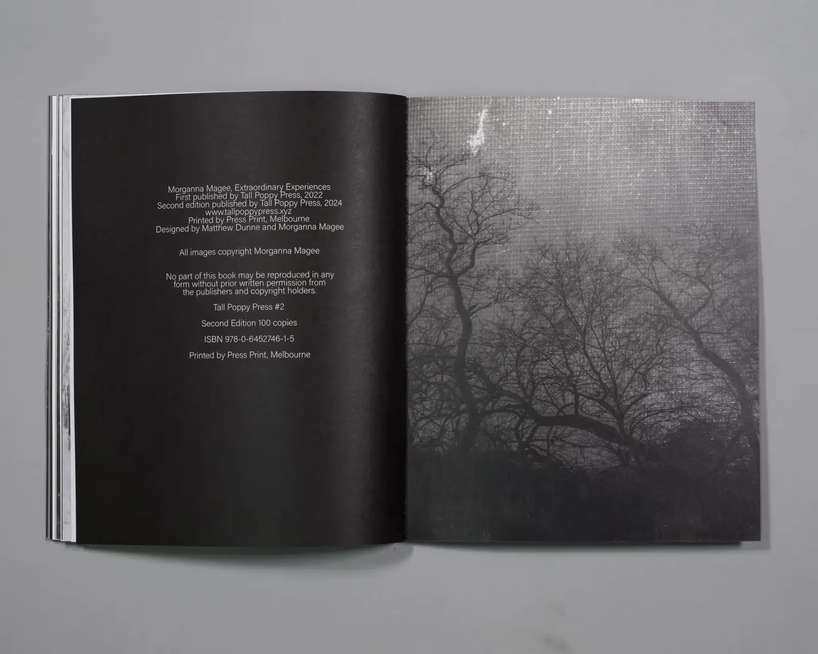 Extraordinary Experiences image 9