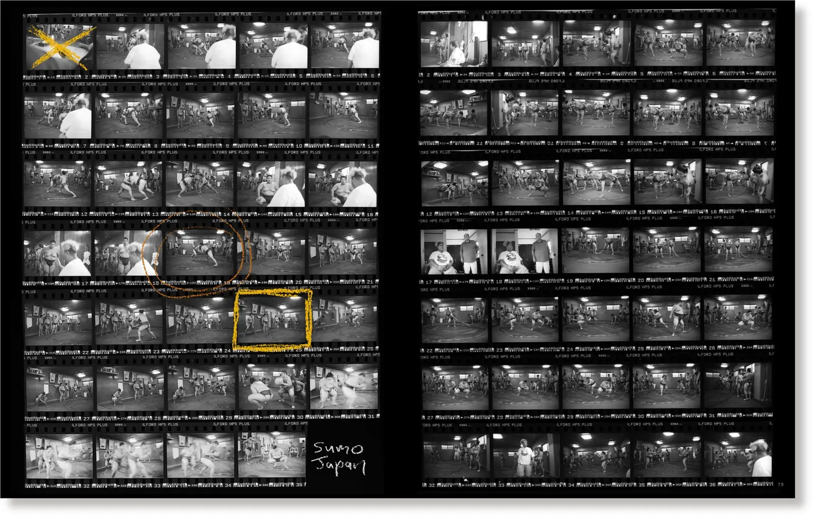 The Joy Is In Capturing The Journey image 7