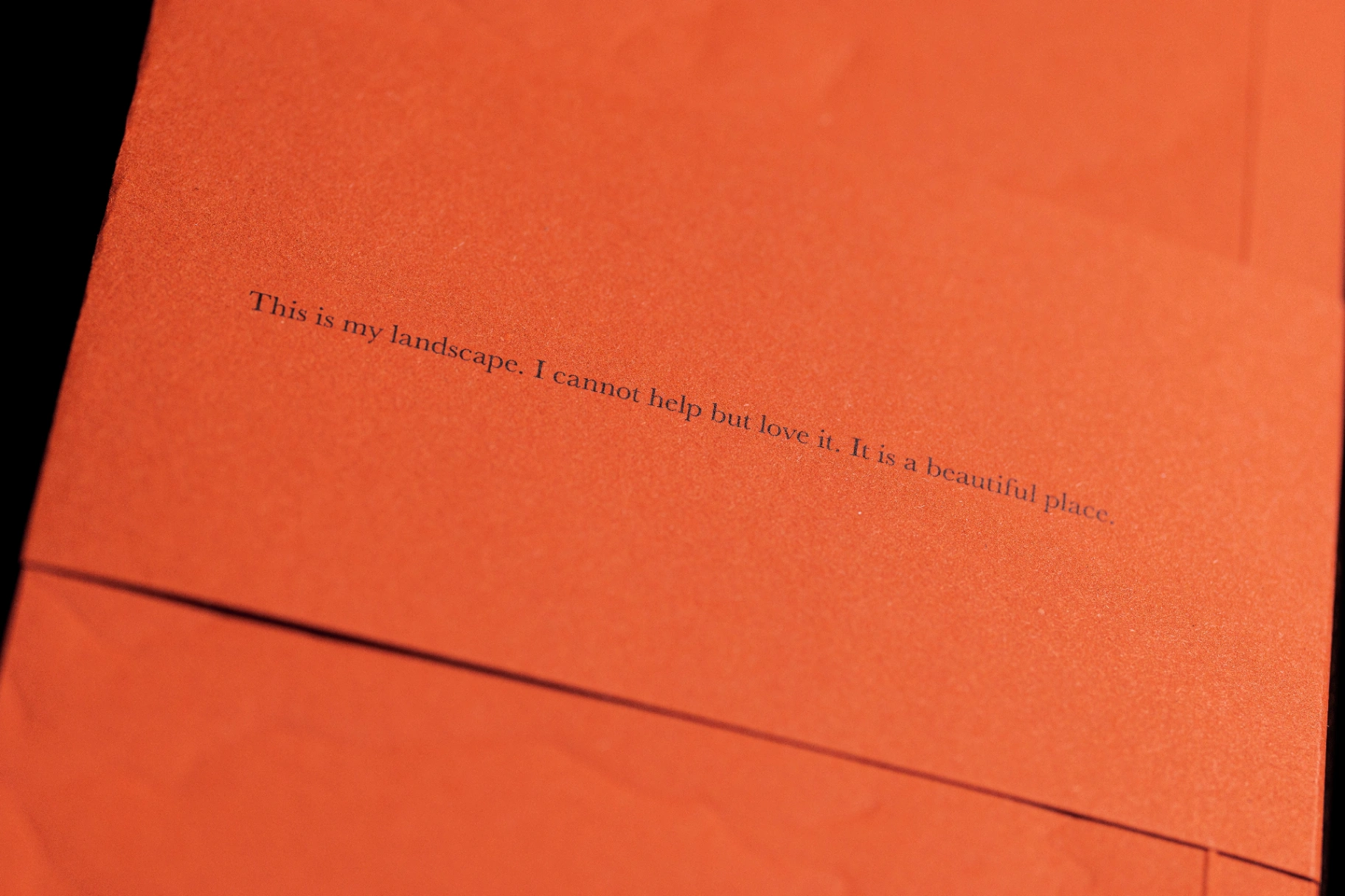 Un luogo bello image 9