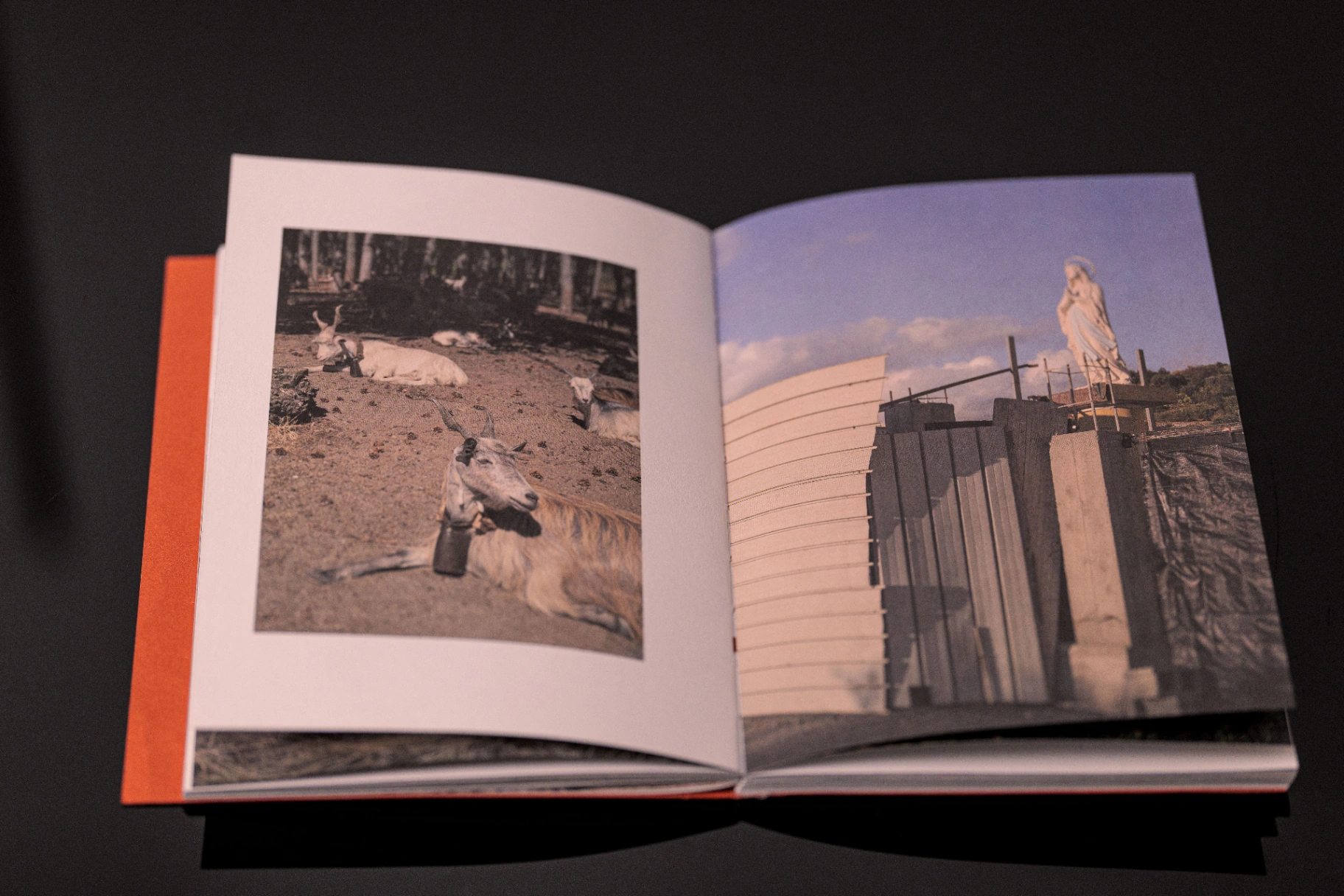 Un luogo bello image 7