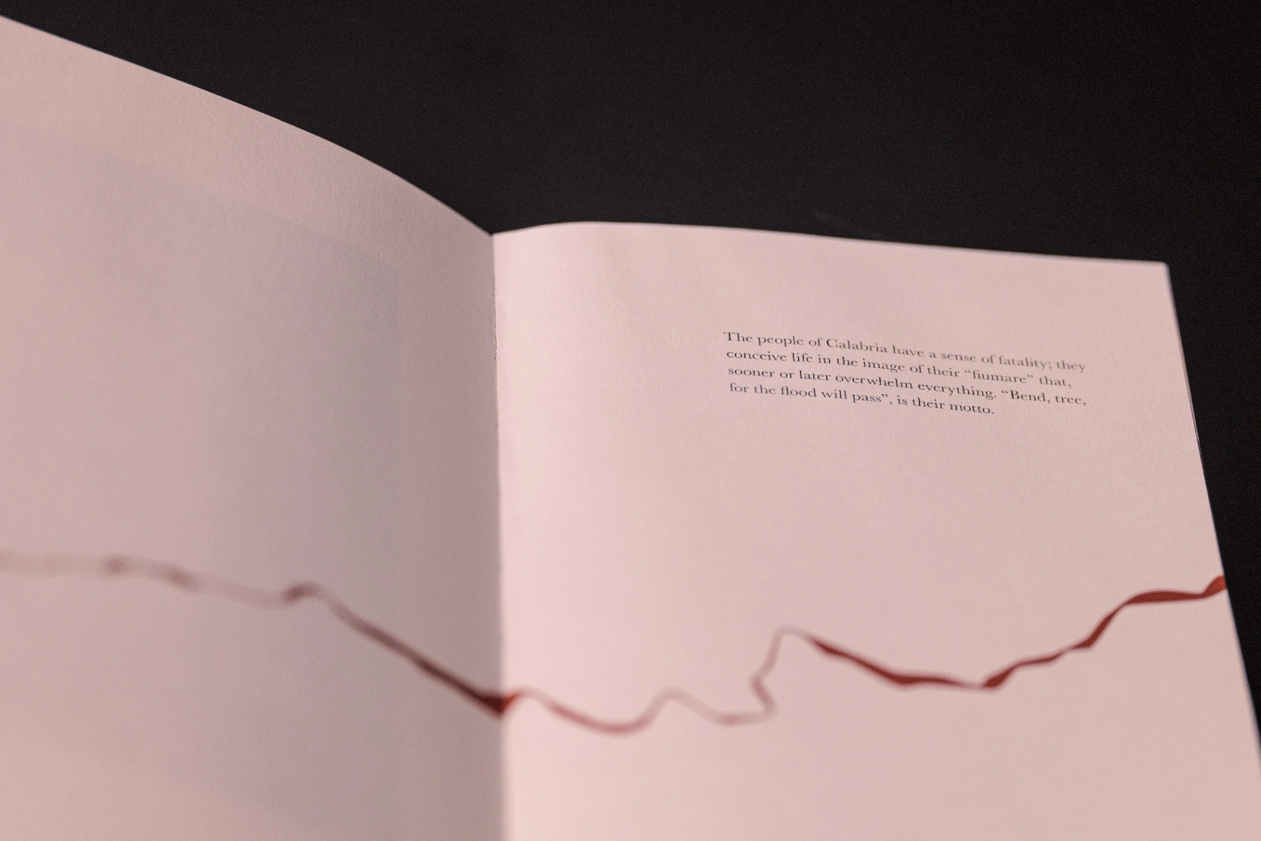 Un luogo bello image 5