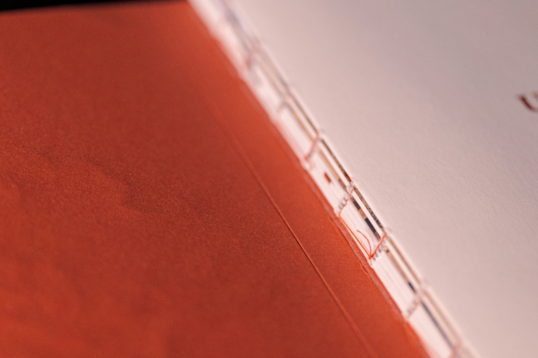 Un luogo bello image 4