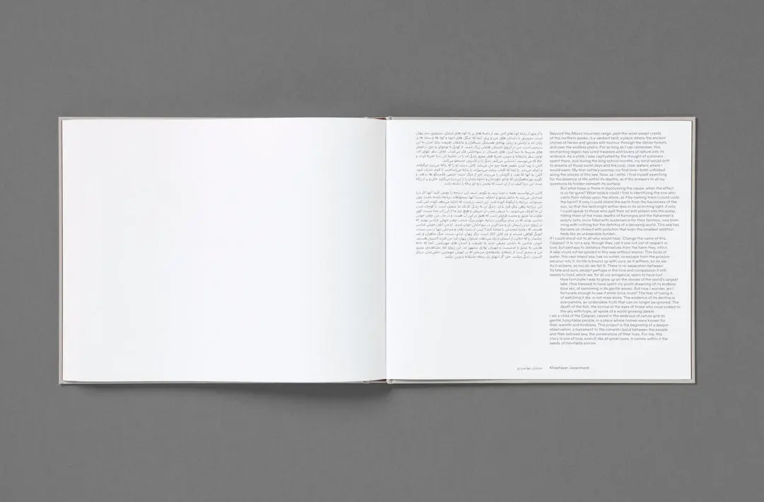 Caspian: A Southern Reflection image 3