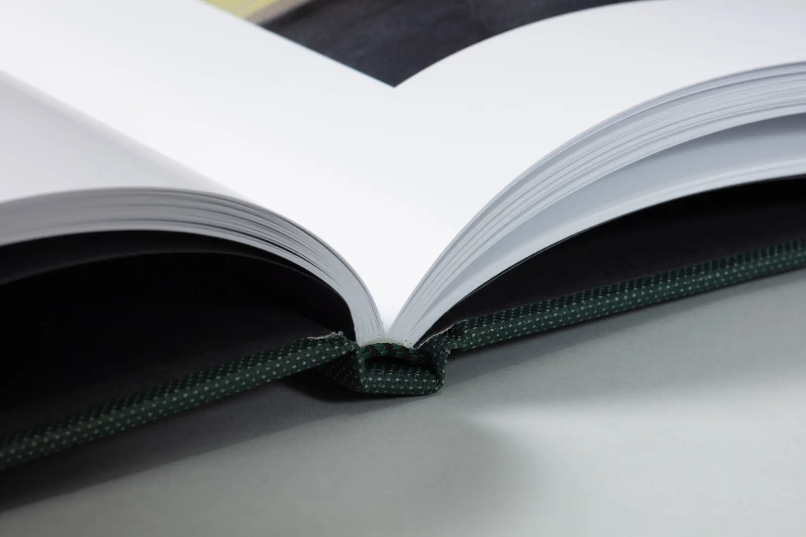 Lost Coast (Second Edition) image 3