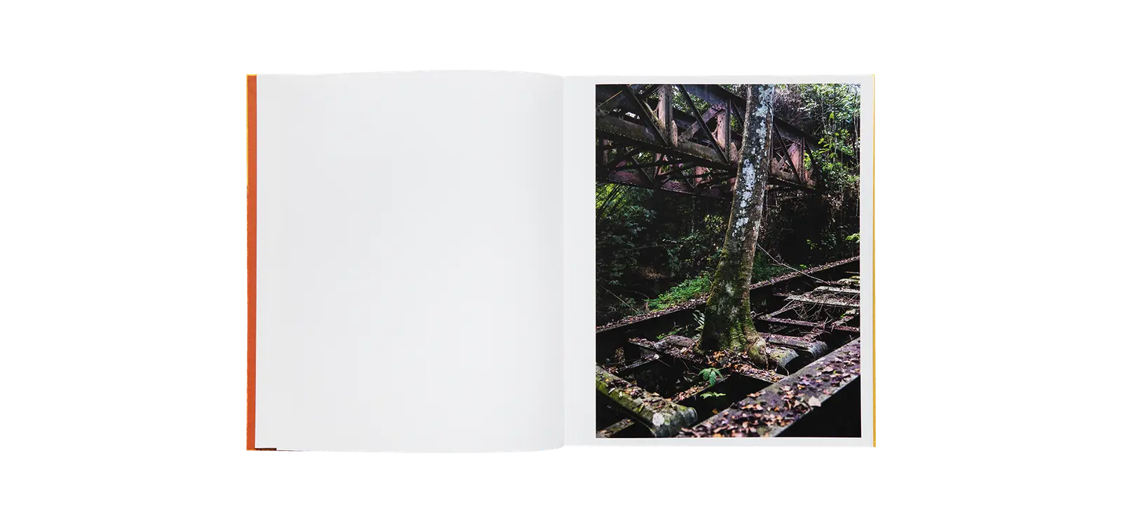 Radio Ballast image 4