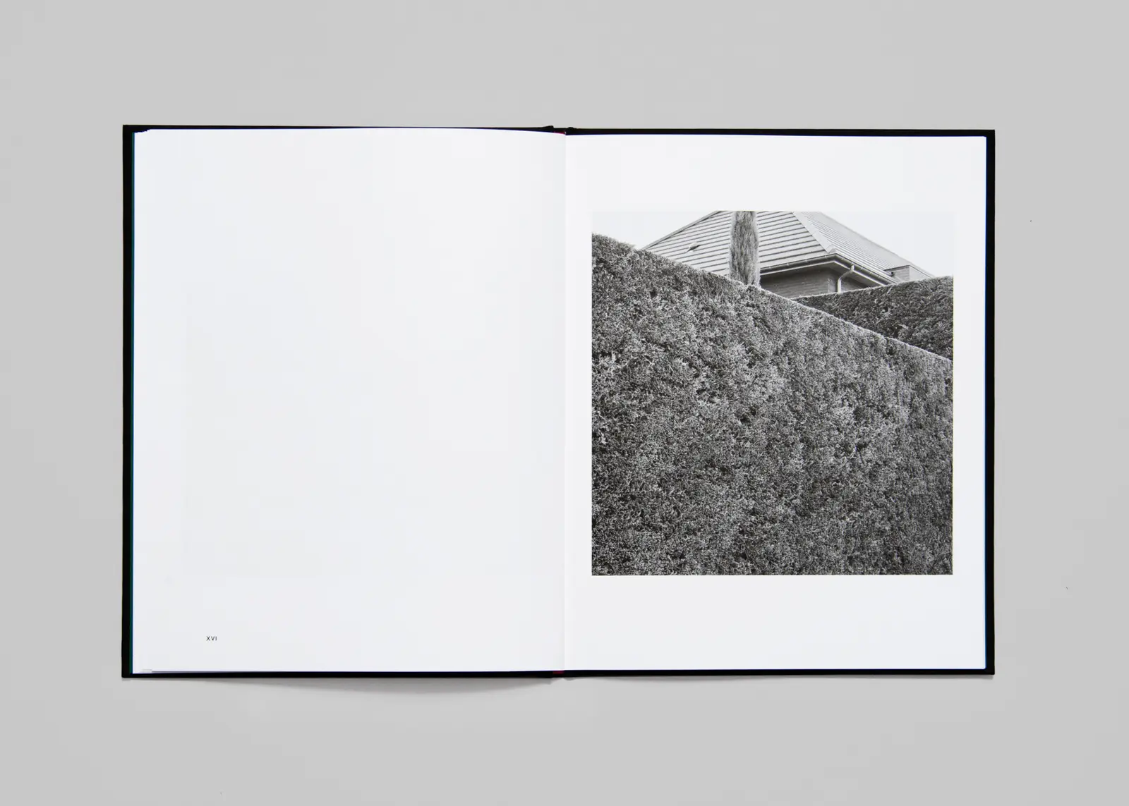 No Place Like Home image 10