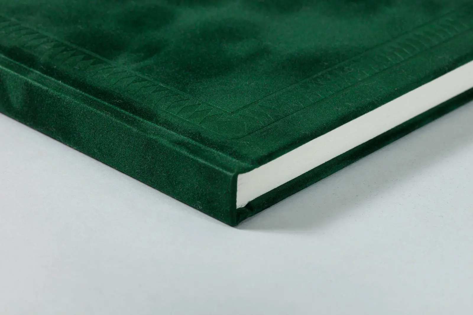 Double Player image 3