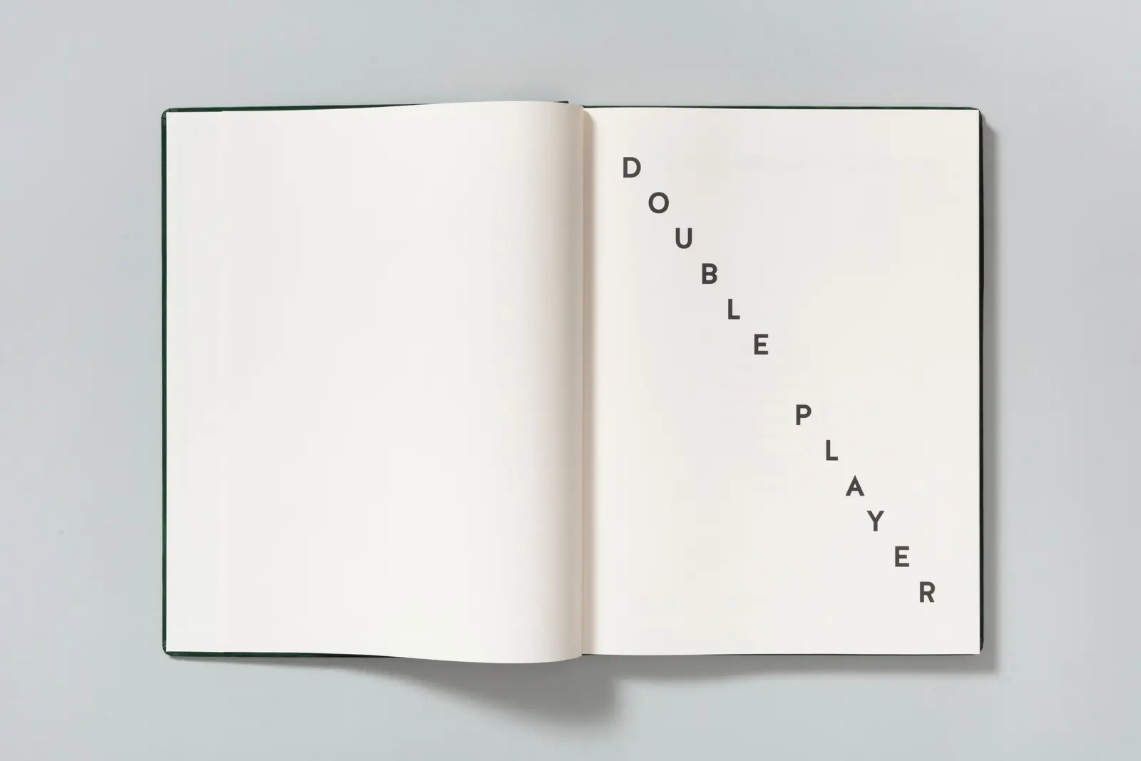 Double Player image 6