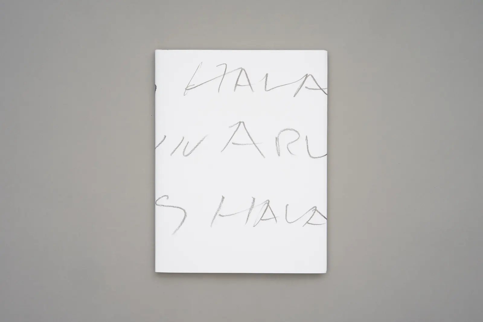 56 Days in Arles image 2